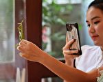 MIT新設備可偵測植物「焦慮」