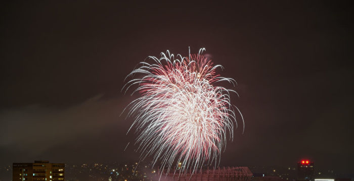 全球在疫情中第二次迎新年 各国政策不同