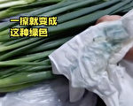 貴州多地市場現染色蔥 用紙一擦會掉色