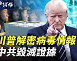 【時事縱橫】川普解密病毒情報？中共毀滅證據