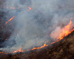研究：山火的降温效应大于气候模型预测