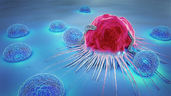 新方法可控制一線免疫細胞排異反應