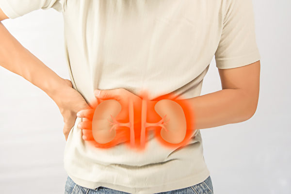 腎臟病常見症狀有哪些？(Shutterstock)