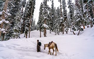 白雪覆蓋路面 印度亞馬遜公司員工騎馬送貨