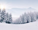 为什么在正常情况下 雪是白色的？