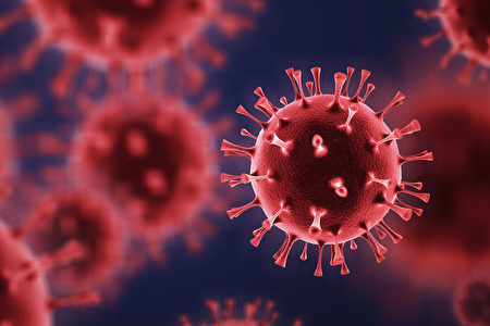 从英国、南非到日本发现的巴西变种，新冠病毒越变越多、越变越严重。(Shutterstock)