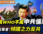 【秦鵬直播】買WHO不成中共惱怒 日集會反共