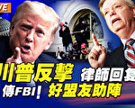 【秦鹏直播】川普反击弹劾 盟友格雷厄姆助阵