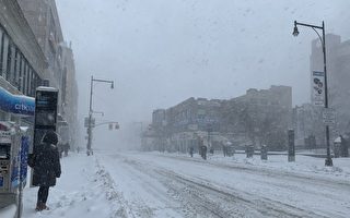 暴风雪袭击纽约 华人社区商店基本关门