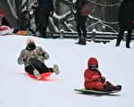 組圖：中央公園積雪超17吋 紐約客滑雪樂