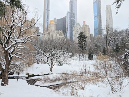 纽约市今起连续10天降温下周末迎极寒天气 极地涡旋 大纪元