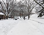 纽约周四起迎来另一波降雪