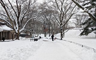 纽约周四起迎来另一波降雪
