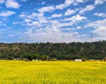 “花甲男孩”取景胜地  外埔忘忧谷微旅行