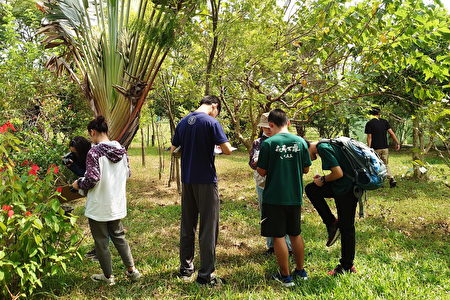 嘉大森資系學生運用所學協助地方調查園區內植物資源。