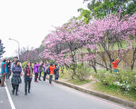 賞花人潮落實防疫  壽山巖觀音寺近2000個停車位