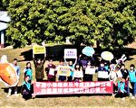 台中申請繁殖技術  500萬小蜂力抗椿象