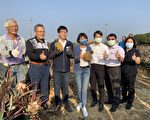 中方禁台湾凤梨 陈其迈：拓多元通路分散冲击
