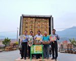 为农民打气 屏东凤梨外销日本打头阵