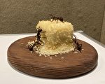 田園風‧鄉土情   比爾蓋茲：葉發原皮塑藝術讚