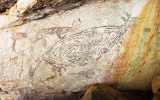 澳洲發現最古老岩畫 1.73萬年前的袋鼠