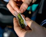 新澤西大麻合法化正式生效 警署頒新執法準則
