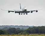 马儿在飞机上失控 波音747折回肯尼迪机场