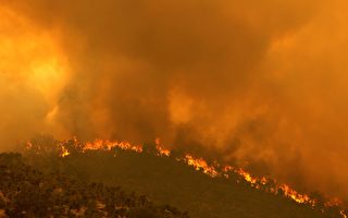 组图：澳洲珀斯山火延烧 面积高达七千公顷