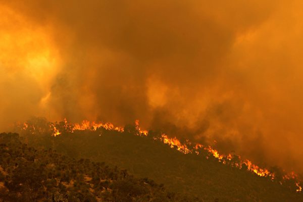組圖：澳洲珀斯山火延燒 面積高達七千公頃