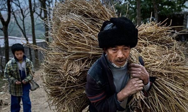 周小慧：习近平“粉碎土豪，分野”来选择生存目标中共减轻贫困| 习近平|