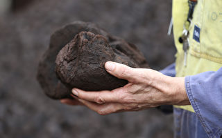【翻牆必看】中共偷卸澳洲煤 大幅進口澳小麥