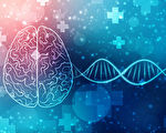 研究：智力和抑郁之间共享大量基因