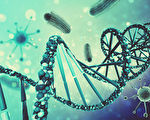 将数据存入活细菌基因里 人类首例