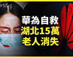 【時事縱橫】華為養豬自救 湖北15萬老人消失？