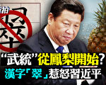 【拍案驚奇】翠字惹怒習近平 武統從鳳梨開始？