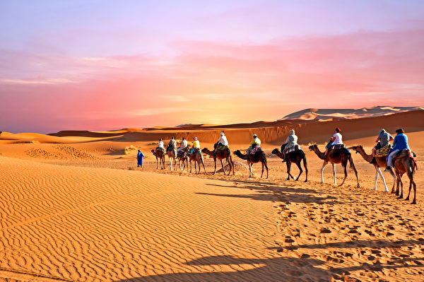撒哈拉沙漠還會再次變成綠洲嗎？