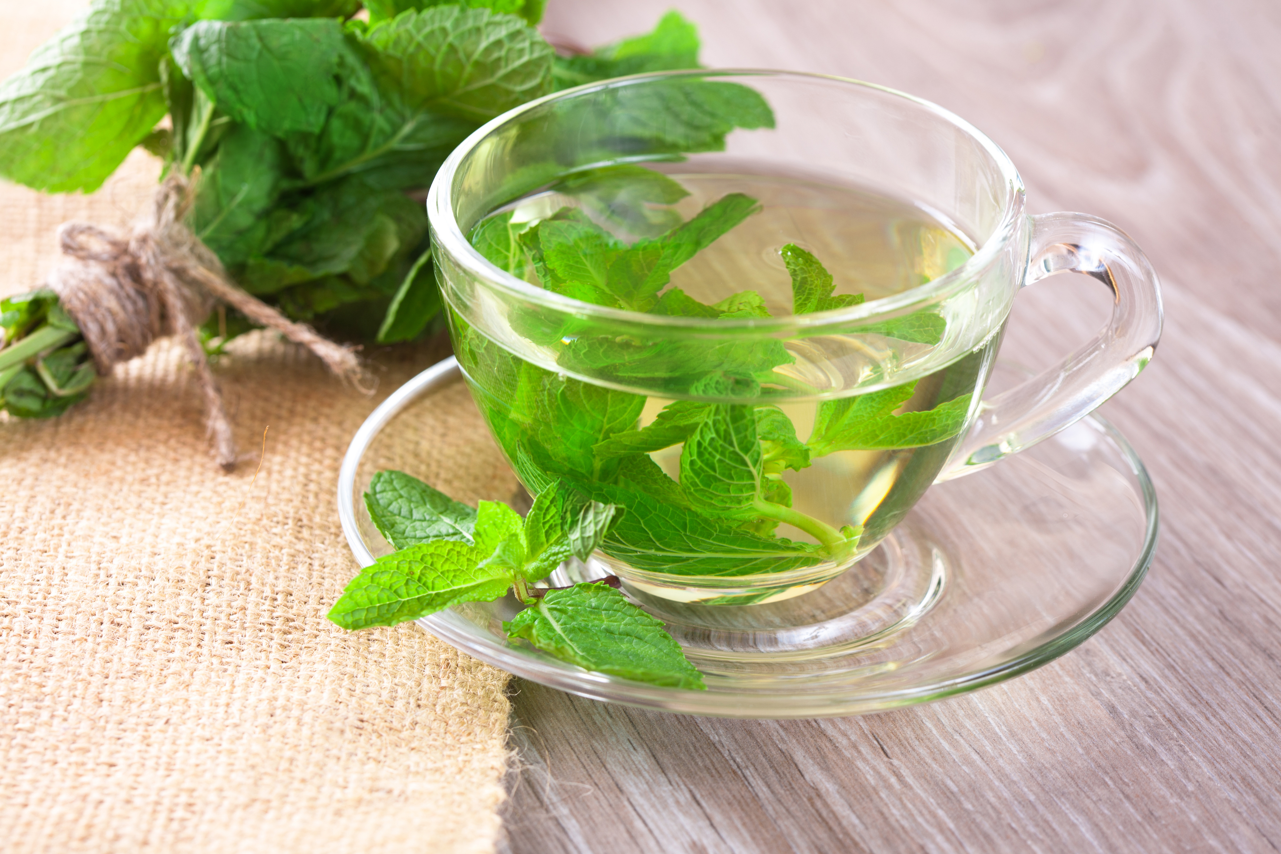 沖泡薄荷茶，冷熱皆宜。(圖/shutterstock)