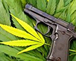 反大麻組織要求公布槍擊案凶手血液毒性報告