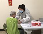 紐約市小商業局「全民疫苗」增加招聘職位