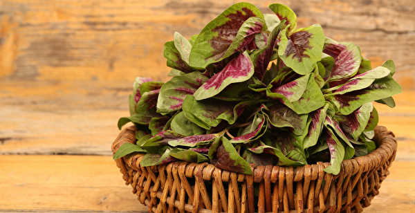 红苋菜营养密度高，铁质是蔬菜中含量最多的。(Shutterstock)