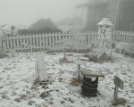 降雪粒！玉山成银白世界