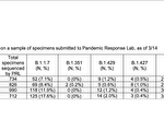 纽约市变种病毒占比继续增  占染疫病例65%