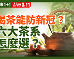 【重播】喝茶助防疫嗎？6大茶系怎麼選