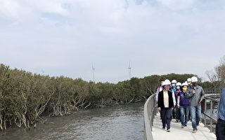 彰县芳苑湿地红树林海空步道 六月底可望开放