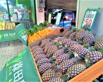台中土鳳梨僅內銷 茂谷柑銷中市場待分散