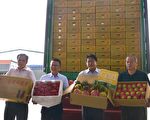 屏东凤梨外销新加坡 年销量估达500公吨