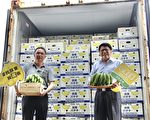 屏东香蕉攻日本市场 估年销100公吨