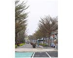 漫步苗北双城头份竹南  城市慢行绿网建置计划