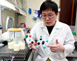 中正大学开发岩藻糖化乳寡糖快速合成方法