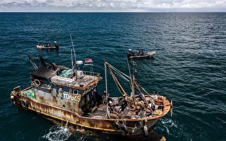 調查：岡比亞引用中資 環境受污染漁產資源損耗